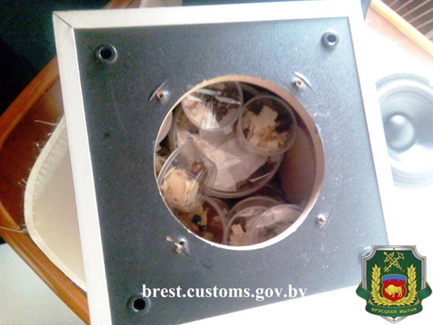 ���������� ������ �������� ������� �� �������� 46 ���� � ���������