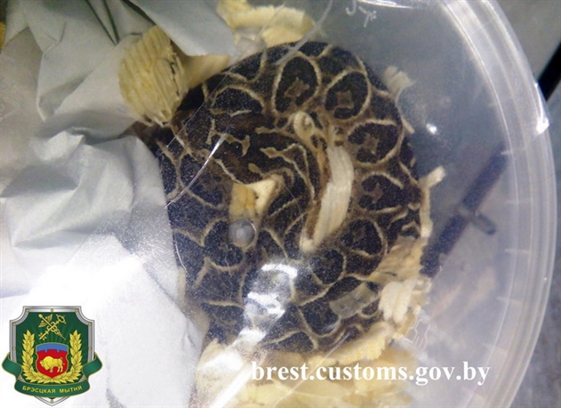 ���������� ������ �������� ������� �� �������� 46 ���� � ���������