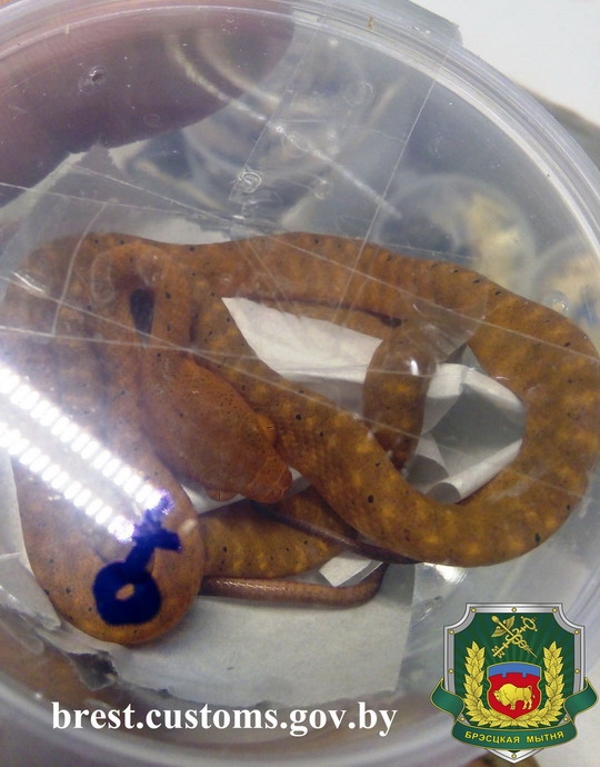 ���������� ������ �������� ������� �� �������� 46 ���� � ���������