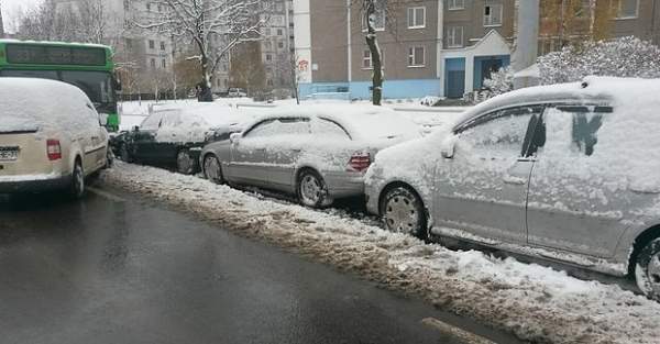 � ������ �������� ��������, �������� ����� �����, ���������� 7 ����