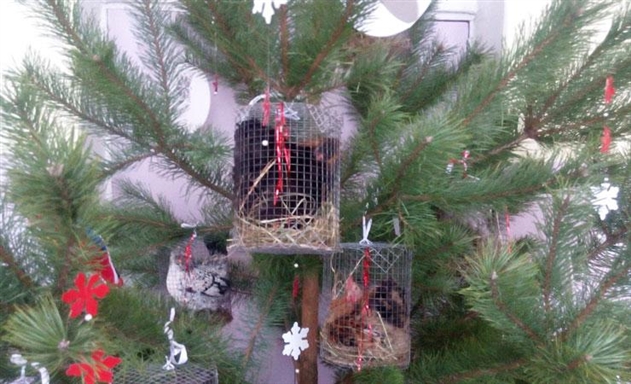 � ���������� ����� �� ���� ��������� ����� �������  ����