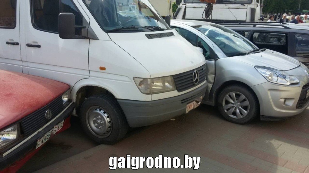 � ���� �������� ���������� 12 �����������