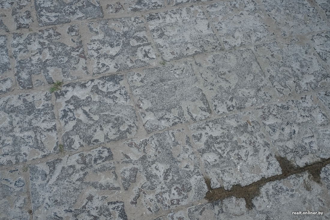 ���� - ����� �������� ����� ������ (��������)