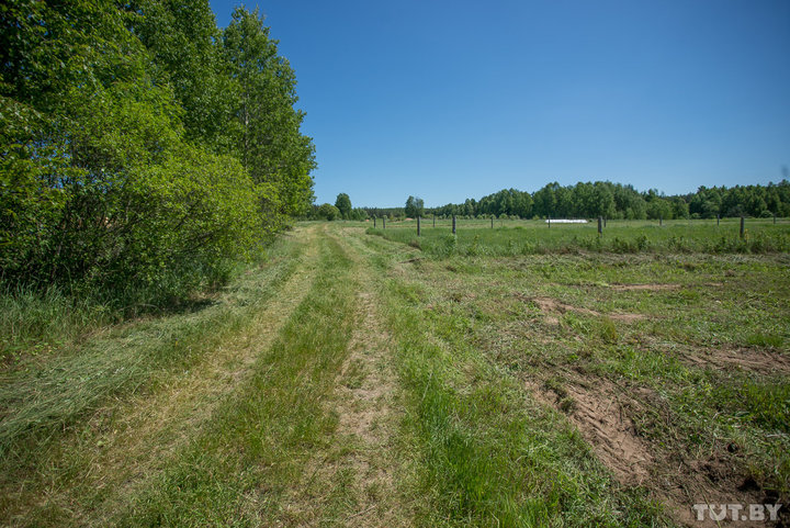 � �������� ���������� ������ ��������� ����� �� ��������� � ���������������� ��������� �����