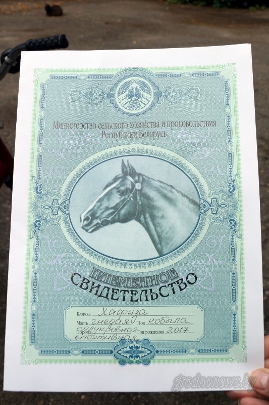 � ���, ��� � ���� �������� �����-���������� �����: ��������