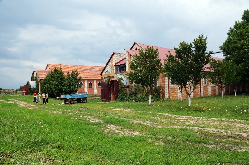 � ���, ��� � ���� �������� �����-���������� �����: ��������