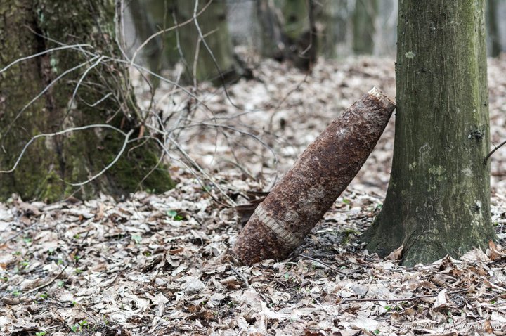 В Гродненской области в лесу нашли снаряд и две гранаты
