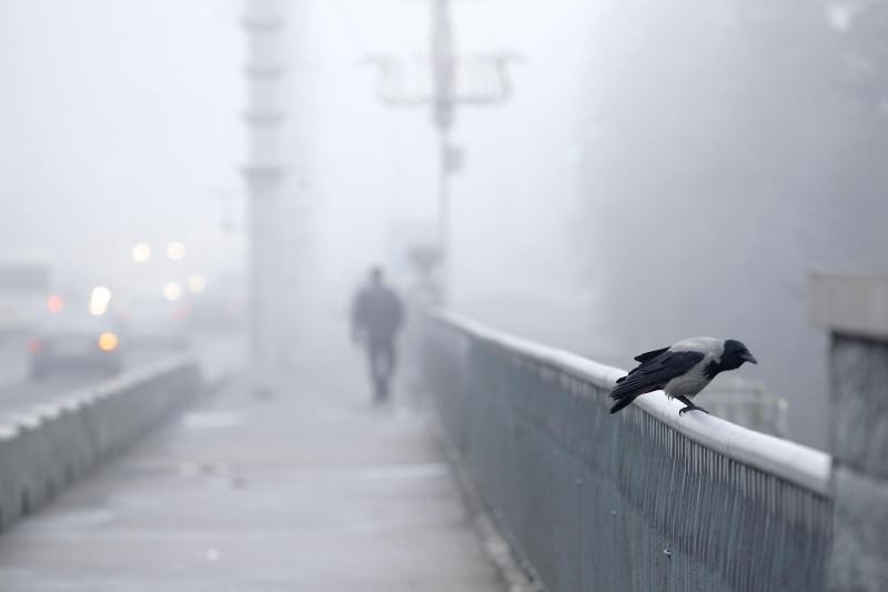 � �������� ��-�� ������ �������� ��������� ������� ���������