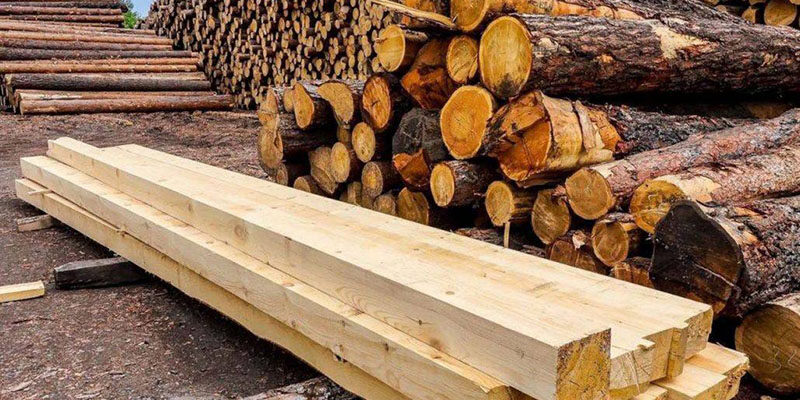 Предпринимателя из Лиды «развели» на 15 тысяч рублей при покупке древесины