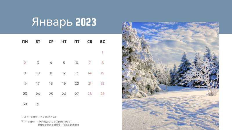 ��� �������� ����� �������� � �������� � ������ 2023 ����?