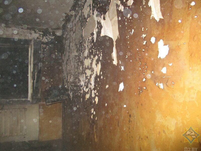 � ���� ������ ����������