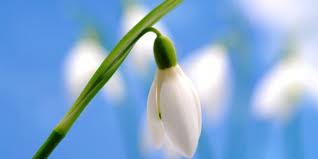 ��� ����������� ��������� ����������� ������ ����������