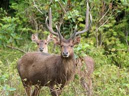 ��������� � �������� ����� ����� � 14 ���