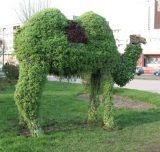 ������� ��������